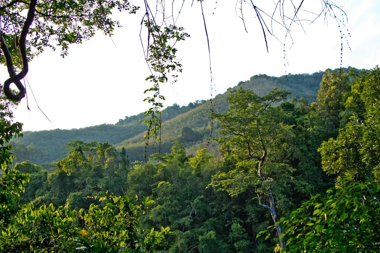 Chestnut Hill Eco Resort Had Yai Hat Yai Dış mekan fotoğraf
