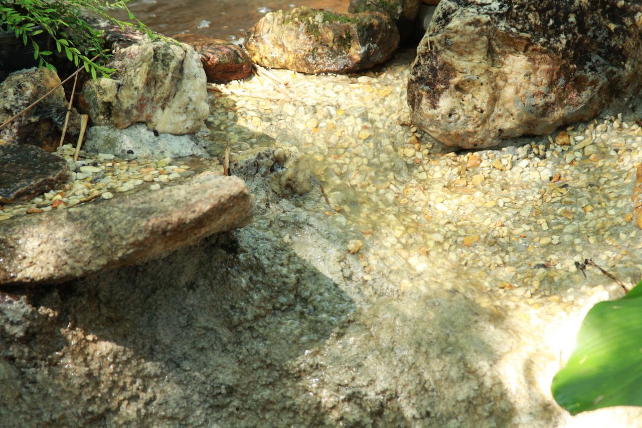 Chestnut Hill Eco Resort Had Yai Hat Yai Dış mekan fotoğraf