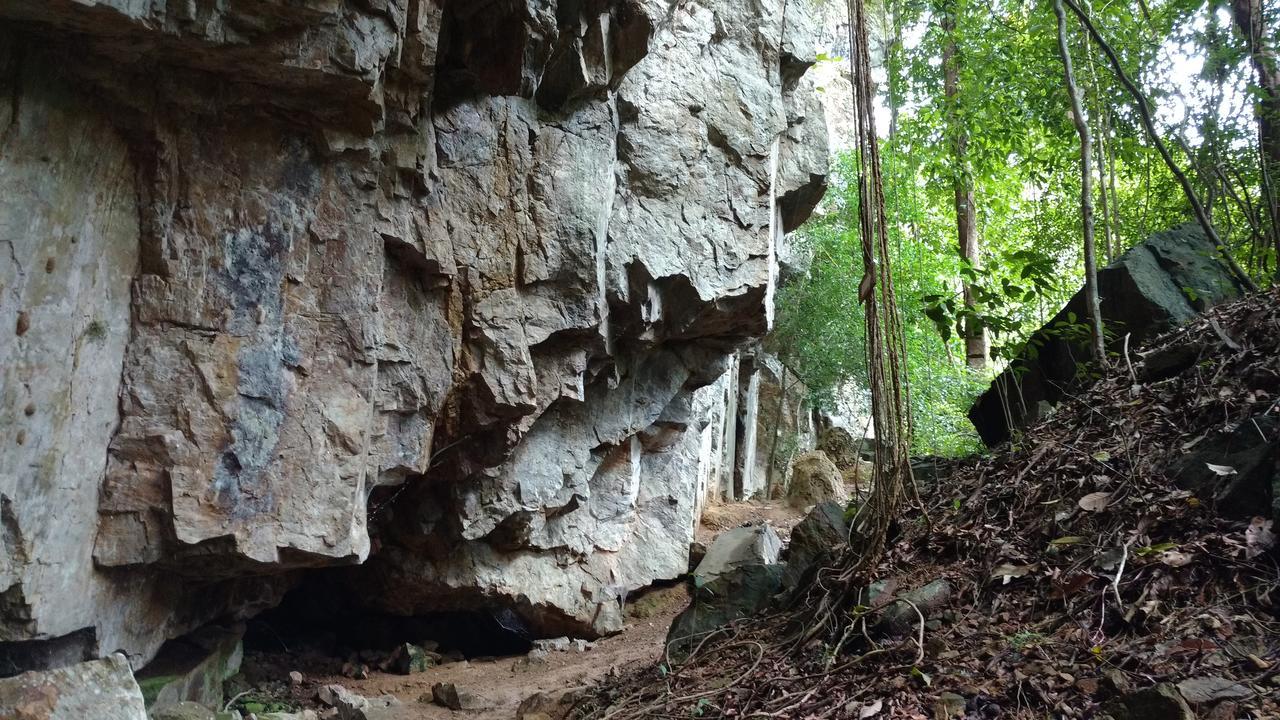 Chestnut Hill Eco Resort Had Yai Hat Yai Dış mekan fotoğraf
